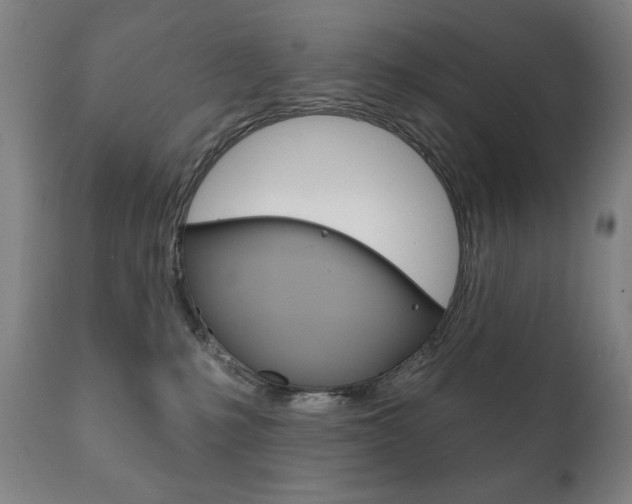 X0000111820231200907231032