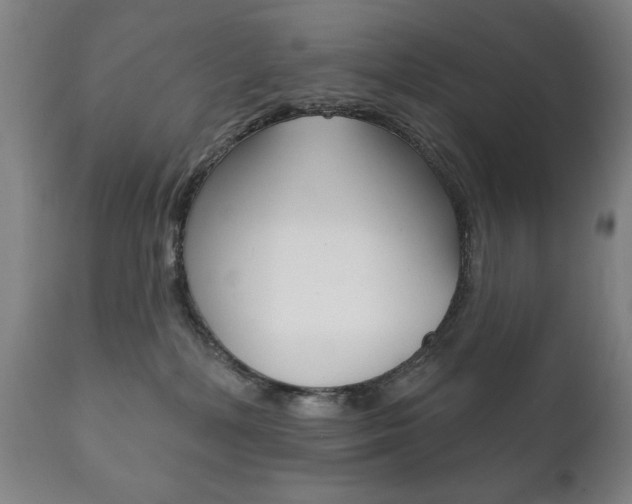 X0000111820232200907231032