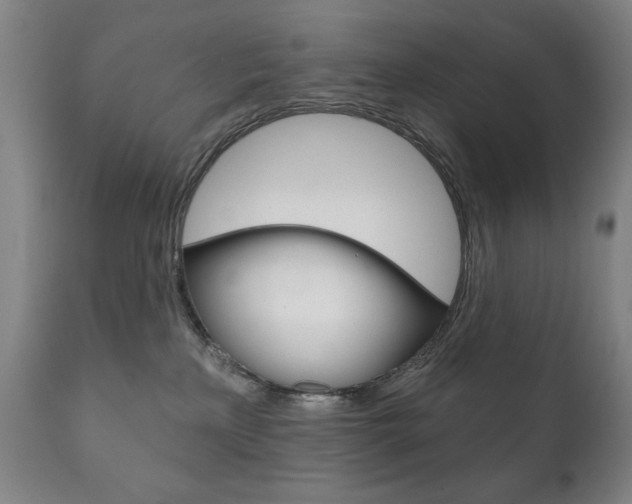 X0000111820233200907231032