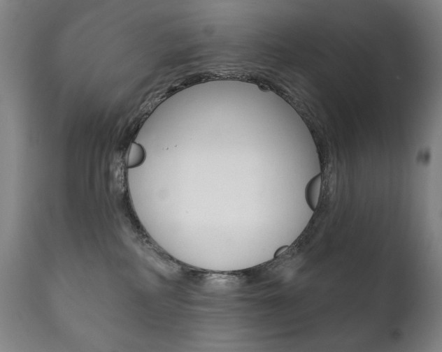 X0000111820234200907231032