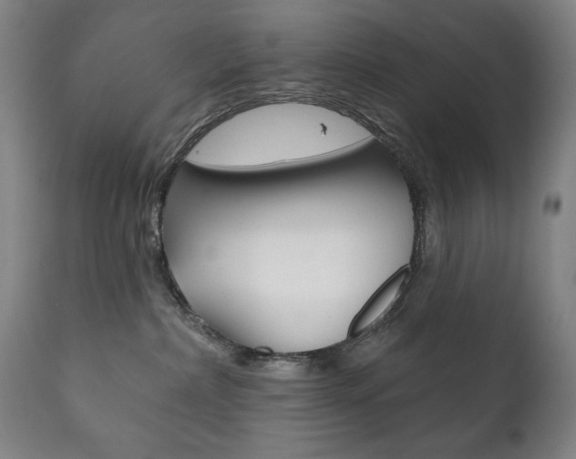 X0000111820236200907231032