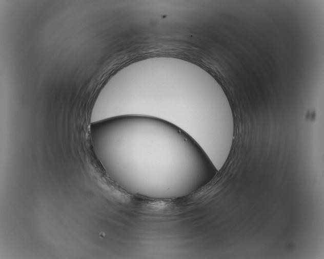 X0000111820237200907231032