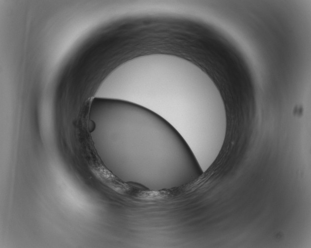 X0000111820239200907231032