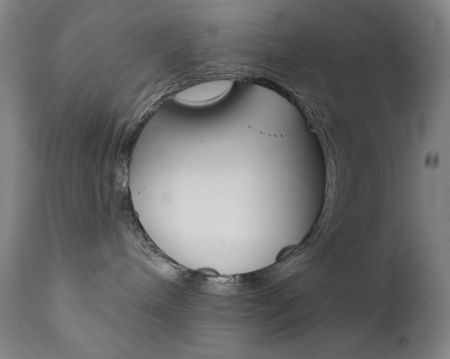 X0000111820240200907231032