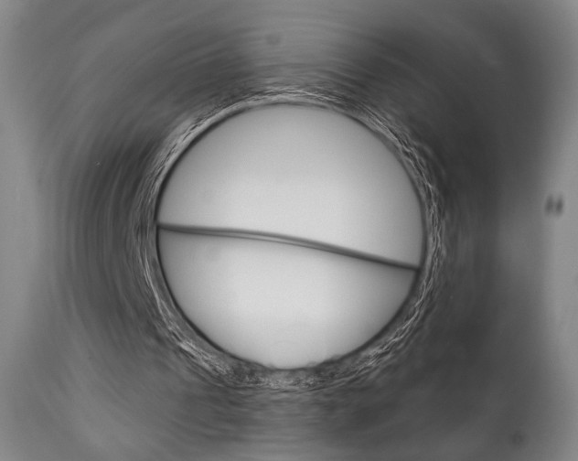 X0000111820241200907231031