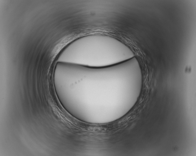 X0000111820242200907231031