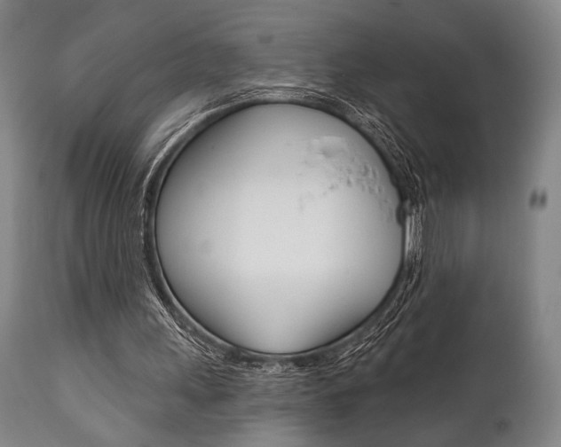 X0000111820243200907231031