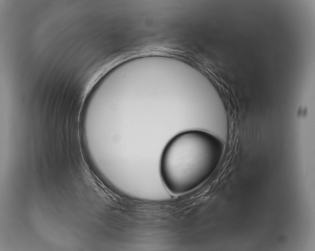 X0000111820244200907231031