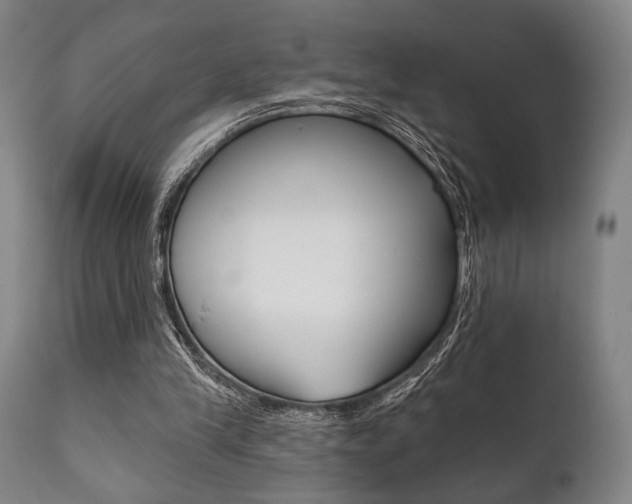 X0000111820245200907231031
