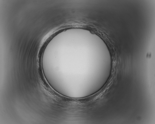X0000111820246200907231031