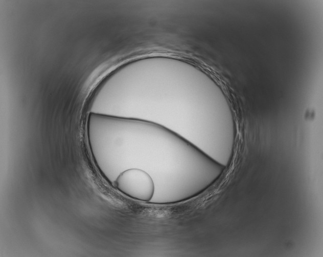 X0000111820247200907231031
