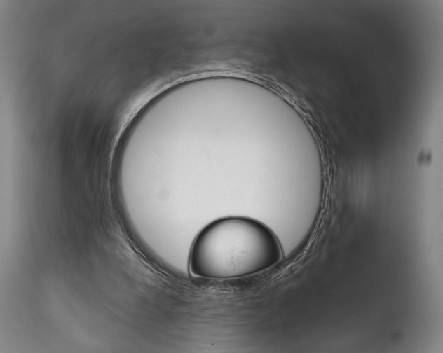 X0000111820248200907231031