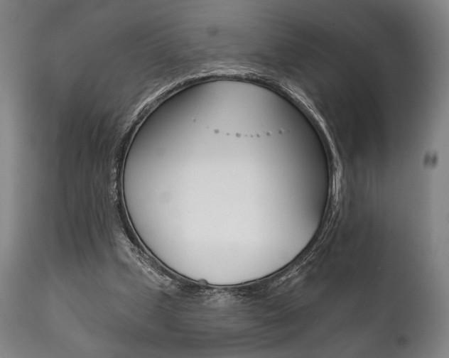 X0000111820249200907231031