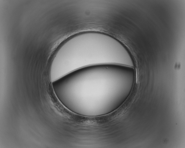 X0000111820252200907231031