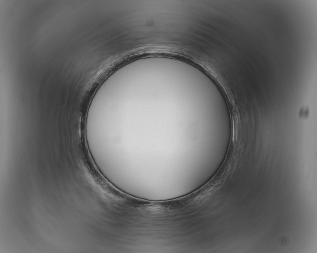 X0000111820253200907231031