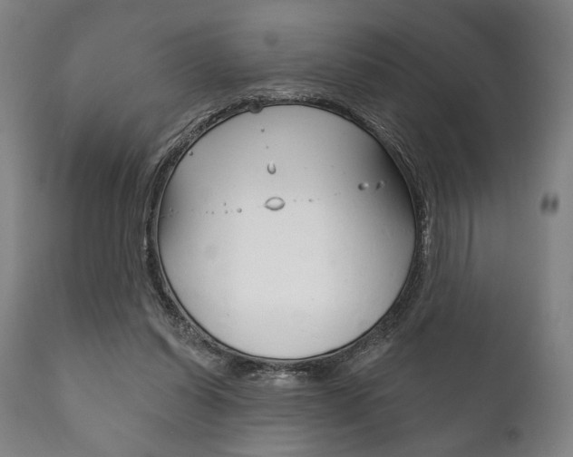 X0000111820254200907231031