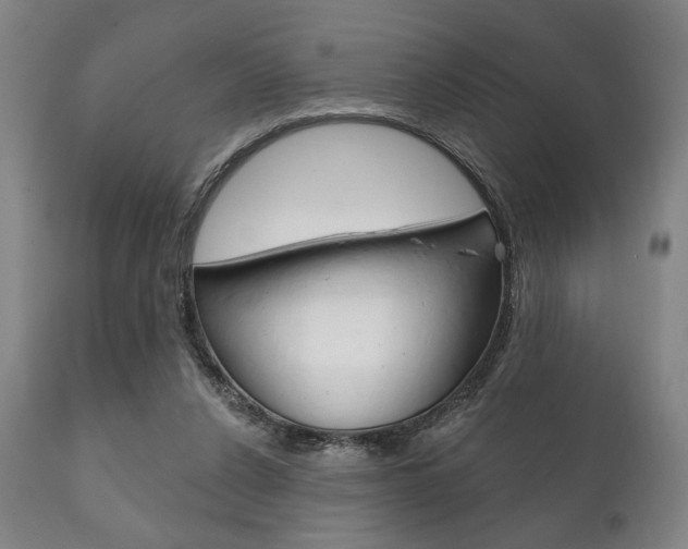 X0000111820256200907231031