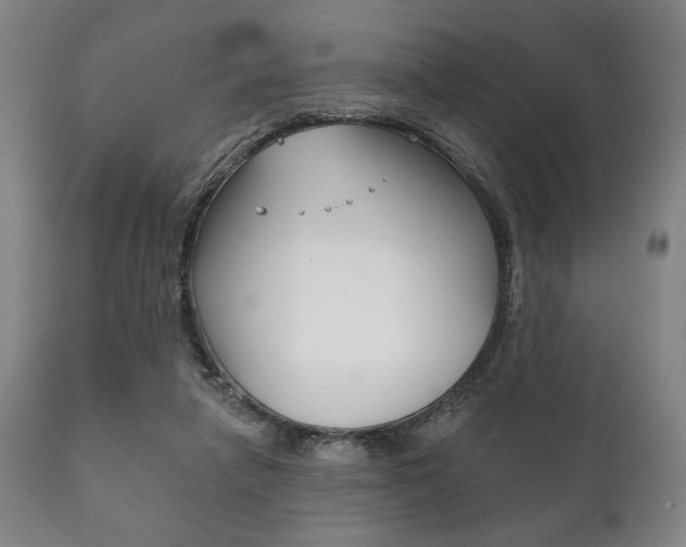 X0000111820258200907231031