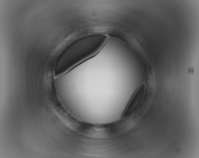 X0000111820260200907231031