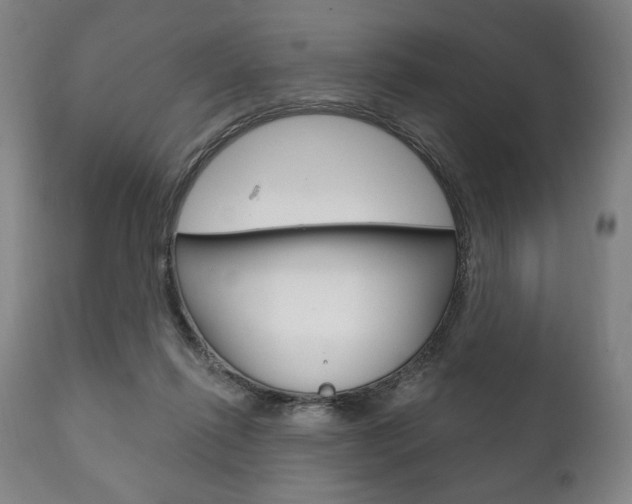 X0000111820262200907231031
