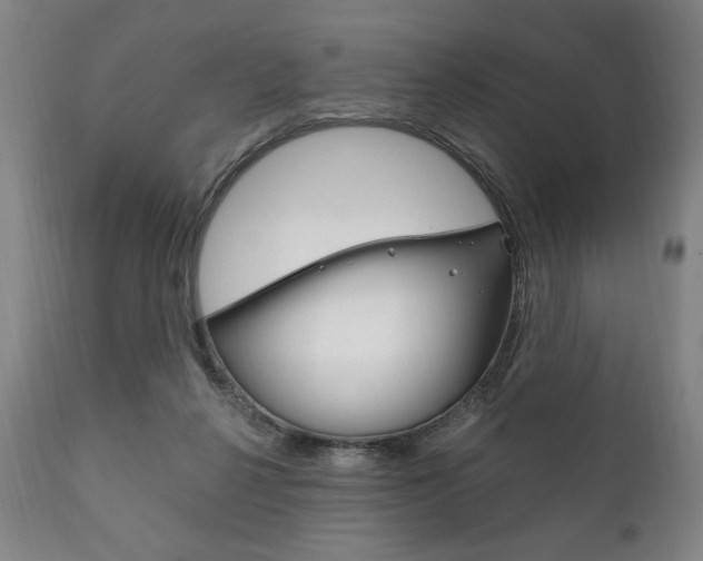 X0000111820264200907231031