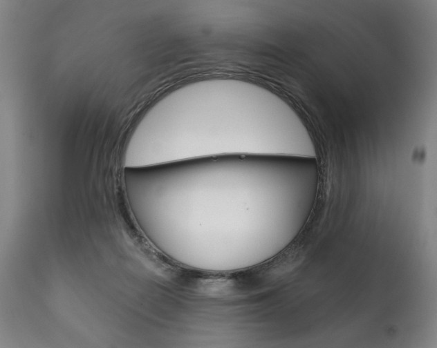 X0000111820266200907231031