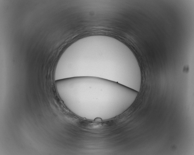 X0000111820267200907231031