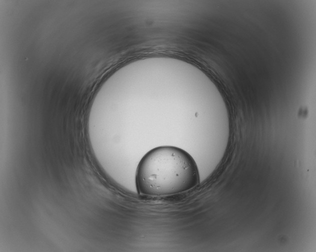 X0000111820268200907231031