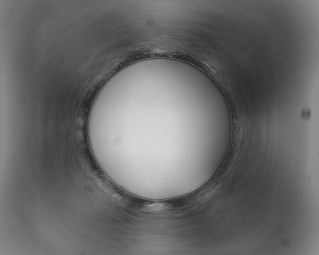 X0000111820269200907231032