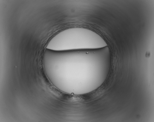 X0000111820270200907231032