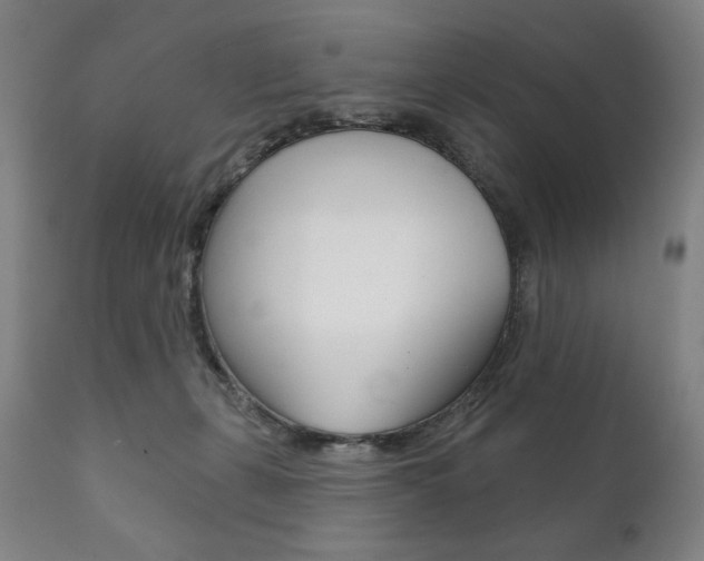 X0000111820271200907231032