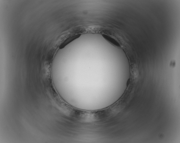 X0000111820276200907231032