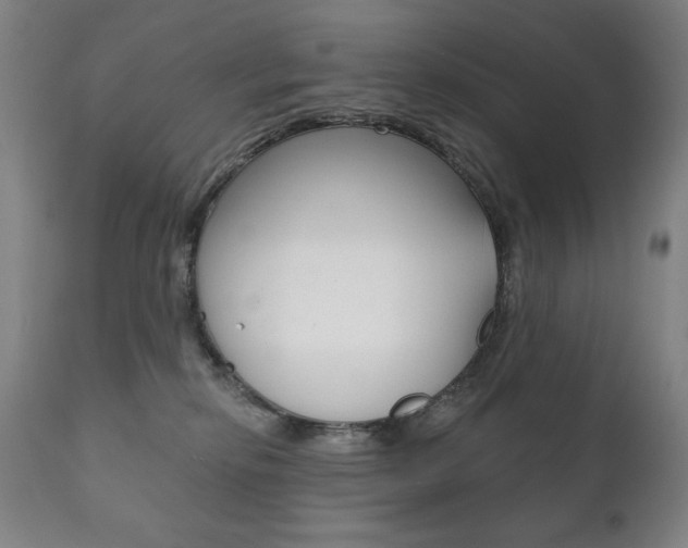 X0000111820278200907231032