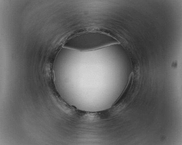 X0000111820280200907231032