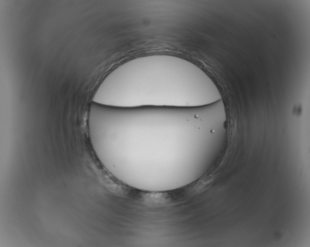 X0000111820281200907231032