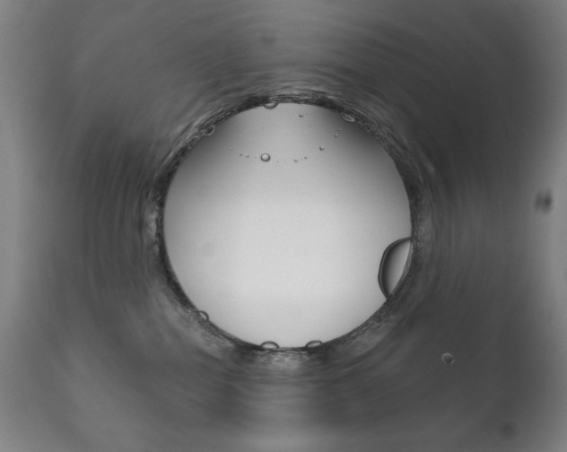 X0000111820282200907231032