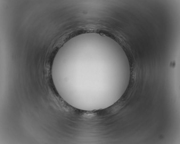 X0000111820283200907231032