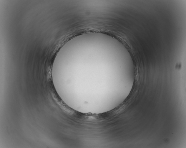 X0000111820285200907231032