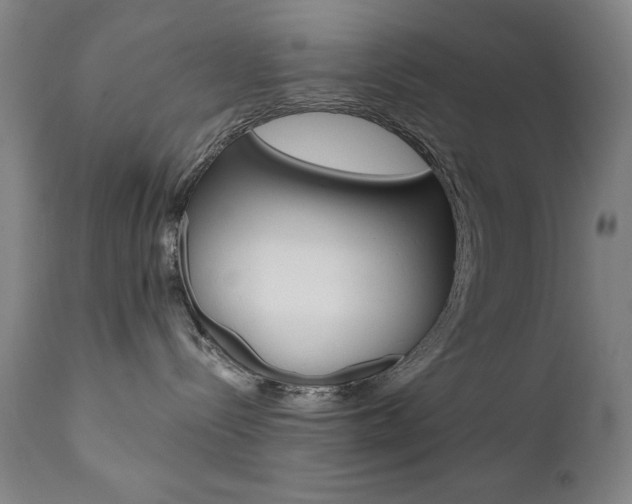 X0000111820288200907231032