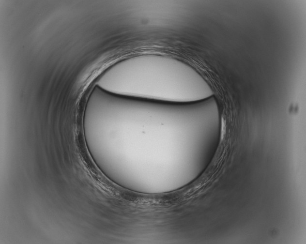 X0000111820291200907231031