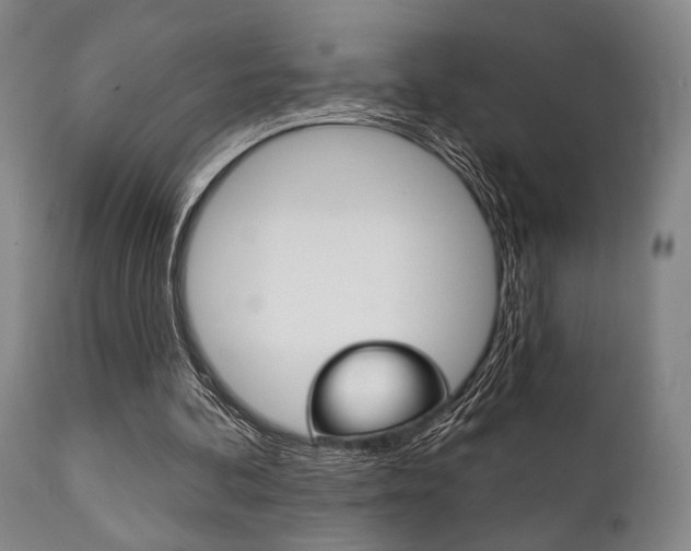 X0000111820292200907231031