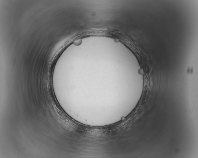 X0000111820293200907231031