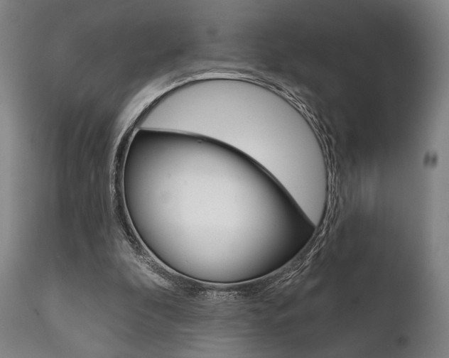 X0000111820296200907231031