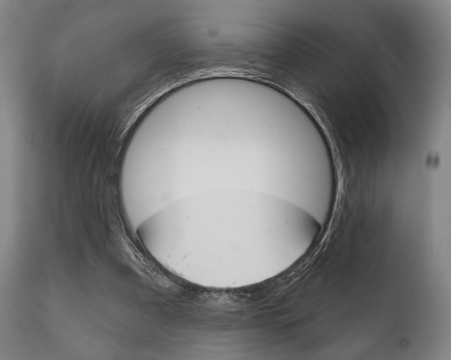 X0000111820297200907231031