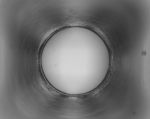 X0000111820298200907231031