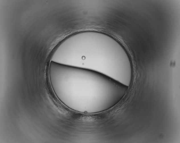 X0000111820299200907231031