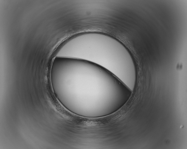 X0000111820300200907231031