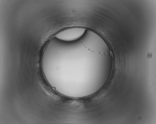 X0000111820303200907231031