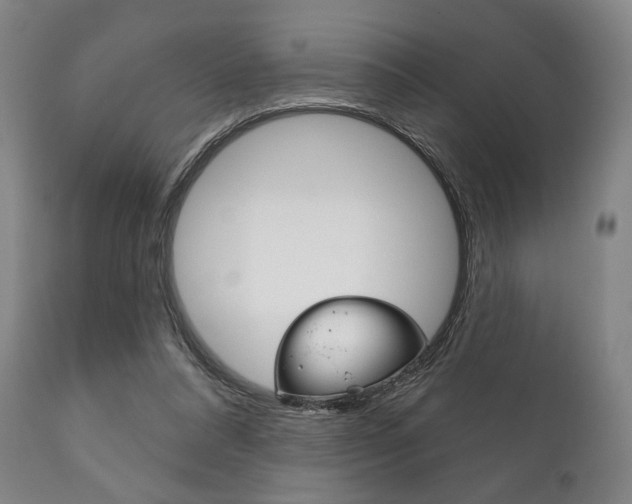X0000111820304200907231031
