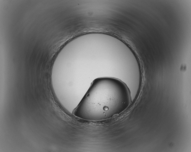 X0000111820305200907231031